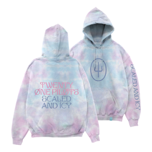SAI Simple Hoodie